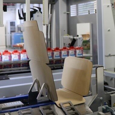 automatic wrap case packers